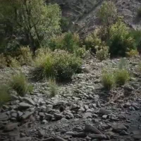 اجاره چاه آب کشاورزی ،سندرک.بالای بخشداری