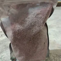 بذر کاهو