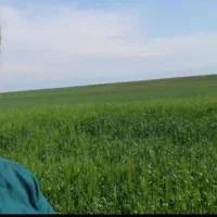 ده هکتار زمین کشاورزی دیم باتخفیف|فروش دفتر صنعتی، کشاورزی، تجاری|آق قلا, |دیوار