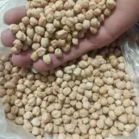 حبوبات نخود درشت