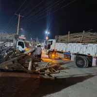 خرید انواع چوب ترو خشک سقفی ذغالی|خدمات باغبانی و درختکاری|خانمیرزا, |دیوار