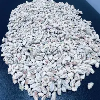 مرکزتولیدوخریدوفروش پسته ومغزفیض آبادمه ولات|خوردنی و آشامیدنی|مه ولات, |دیوار