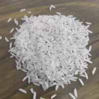 برنج لاتار دمسیاه