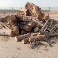 خرید برش هرس درختان