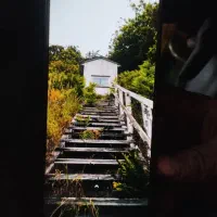 گوشی موبایل|موبایل|شیراز, ده پیاله|دیوار