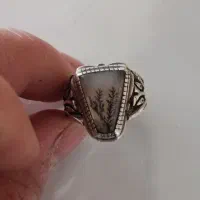 شجر قائن بسیار زیبا|جواهرات|ملایر, |دیوار