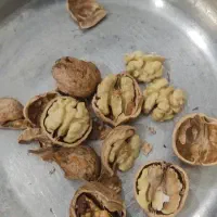 فروش گردو و شیره انگور همدان|خوردنی و آشامیدنی|تولم شهر, |دیوار