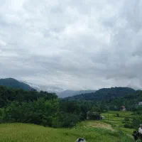 دو قطعه سیصد متری با تمام مدارک