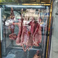 یخچال اقصابی تمام  شیشه دوطرفه درحدنو