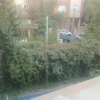 کلنگی-300-متری