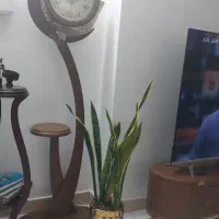 ساعت گرد ایستاده