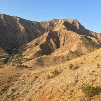 عسل طبیعی کُنار|خوردنی و آشامیدنی|شیراز, حومه شیراز|دیوار