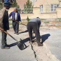 راننده پایه ۱ برای همکاری در شرکت
