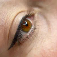 آموزش تتوی بدن وآرایش دائم صورت ومیکرو|خدمات آموزشی|رشت, باهنر|دیوار