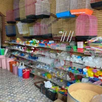 وسایل جانبی حیوانات|لوازم جانبی حیوانات|تبریز, |دیوار