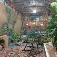 کار در کافه