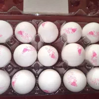 تخم مرغ ۱۵ عددی سیمرغ