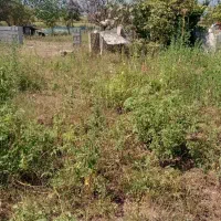 ۲۵۰متر باپروانه ساخت ۹۹متری تحویل گورابزرمیخ|فروش زمین و ملک کلنگی|گوراب زرمیخ, |دیوار