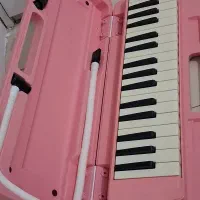 ملودیکا یاماها|سازهای بادی|تهران, ارامنه|دیوار