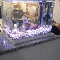 اکواریوم شرکتی باتجهیزات وماهی|ماهی|قم, نوبهار|دیوار