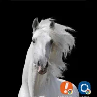 گوشی سامسونگ s24 ultra|موبایل|تهران, حکیمیه|دیوار