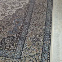 فرش ۶ متری|فرش|رشت, دیانتی|دیوار