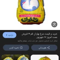 صندوق دار پروتئینی|استخدام خدمات فروشگاه و رستوران|قم, خاکفرج|دیوار