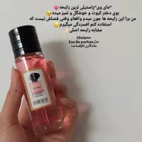 ادکلن|آرایشی، بهداشتی، درمانی|قم, زاویه|دیوار