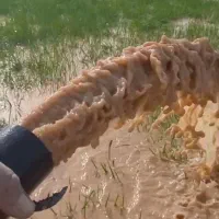 ابیابی بادستگاهای دیجیتالی وفرکانس ورگه یابی|خدمات باغبانی و درختکاری|ساوه, |دیوار