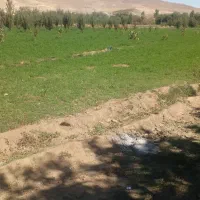 یونجه بسته بندی