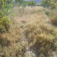 فروش باغ ویلا|فروش خانه و ویلا|نورآباد, |دیوار