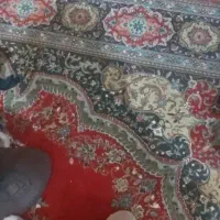 فرش اصیل کاشان درحدنو دوتخته