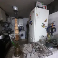 قلیون کاملا سالم معاوضه با پرنده دستی