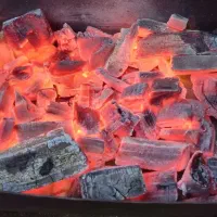 زغال کبابی اعلاء