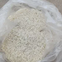 برنج ایرانی ممان|عمده‌فروشی|میانه, |دیوار