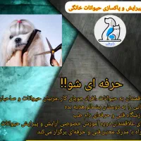 آموزش پیرایش و پاک‌سازی حیوانات خانگی