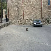 فروش زمین به مساحت ۱۳۵ متر در سولقان قابل ساخت|فروش زمین و ملک کلنگی|کن, |دیوار