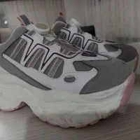 کفش|کیف، کفش، کمربند|تبریز, |دیوار