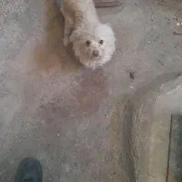 مژدگانی ۵۰۰۰۰۰۰تومانی