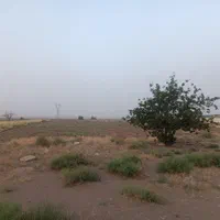 فروش ۷/۵ هکتار در شهید بهشتی|فروش دفتر صنعتی، کشاورزی، تجاری|قم, حنیف نژاد|دیوار