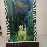 اکواریوم (استوانه ای)