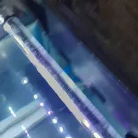 اکواریوم باماهی لجن خوار طلایی و یه سری لوازم|ماهی|اسلامشهر, شهرک قائمیه|دیوار