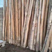 چوپ سالم|خدمات باغبانی و درختکاری|فیروزآباد (آذربایجان), |دیوار