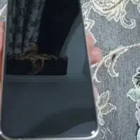 گوشی آیفون ۱۳|موبایل|زاهدان, |دیوار