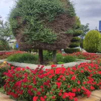 فروش ویژه زمین سند دار در شهریار