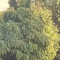 معاوضه منزل با آپارتمان