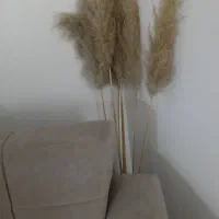 همخونه