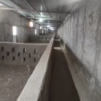 اجاره مزرعه «شتر مرغ ۷۰۰۰»|اجارهٔ دفتر صنعتی، کشاورزی، تجاری|گرمسار, |دیوار