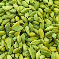 فروش عمده هل اکبر بنفش(کیلویی و بسته ای)|عمدهفروشی|قم, باغ شریفی|دیوار