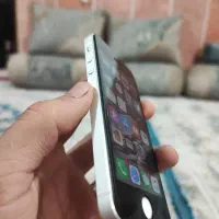 ایفون 5s کلکسیونی نامبر وان|موبایل|زابل, |دیوار